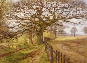 ツリー、1861 作： John Milne Donald